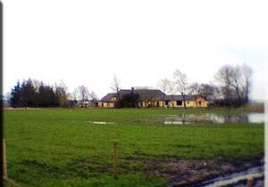 Birgittesminde